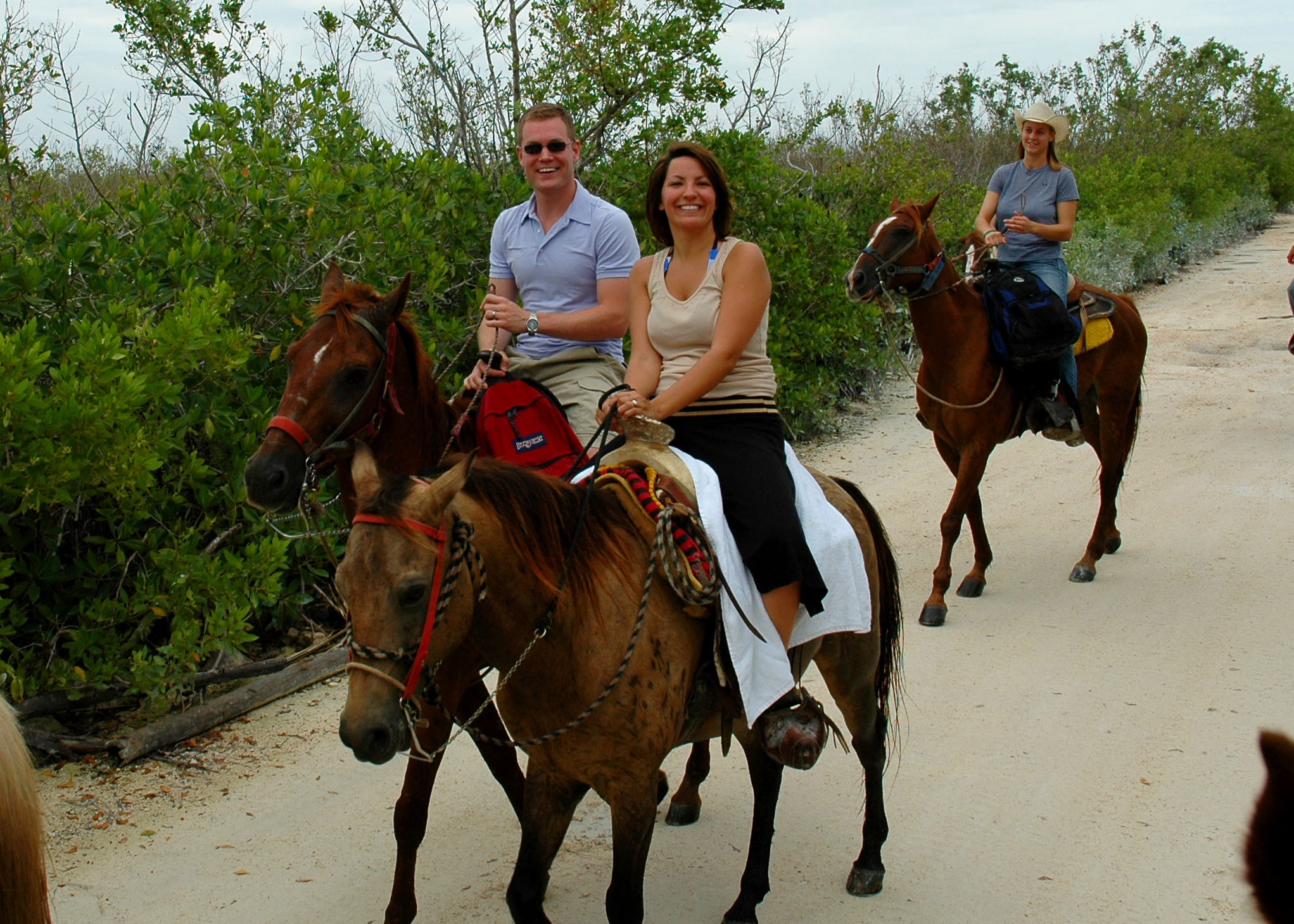 Horses